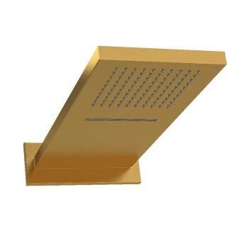 Riobel 404BG – 22″ x 9″ 2-Function showerhead With Arm